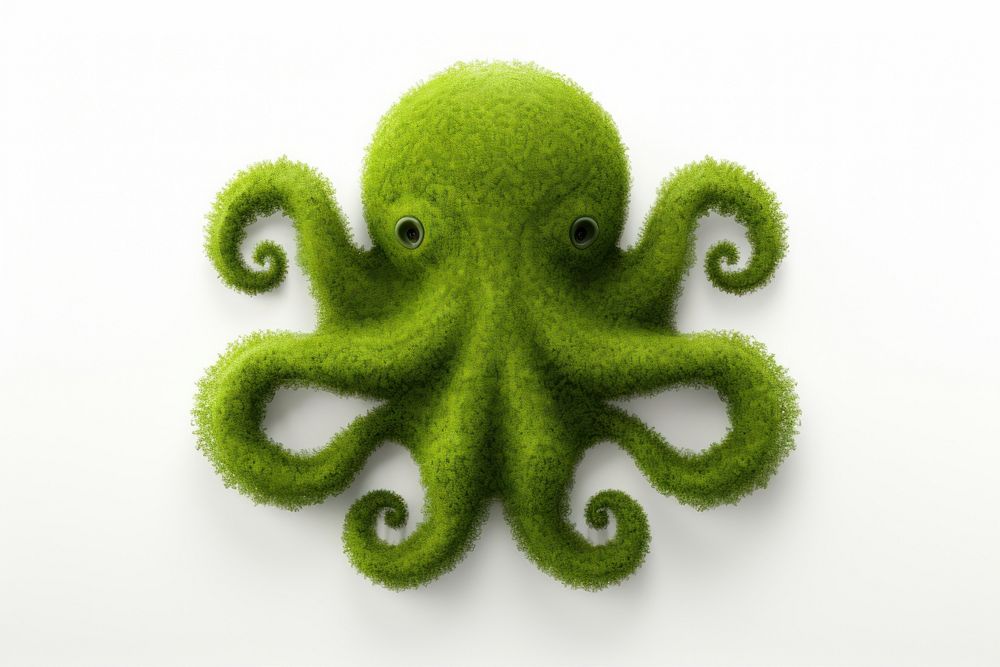 Octopus shape icon white background invertebrate cephalopod.