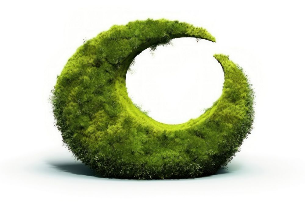 Moon icon moss plant white background. AI generated Image by rawpixel.