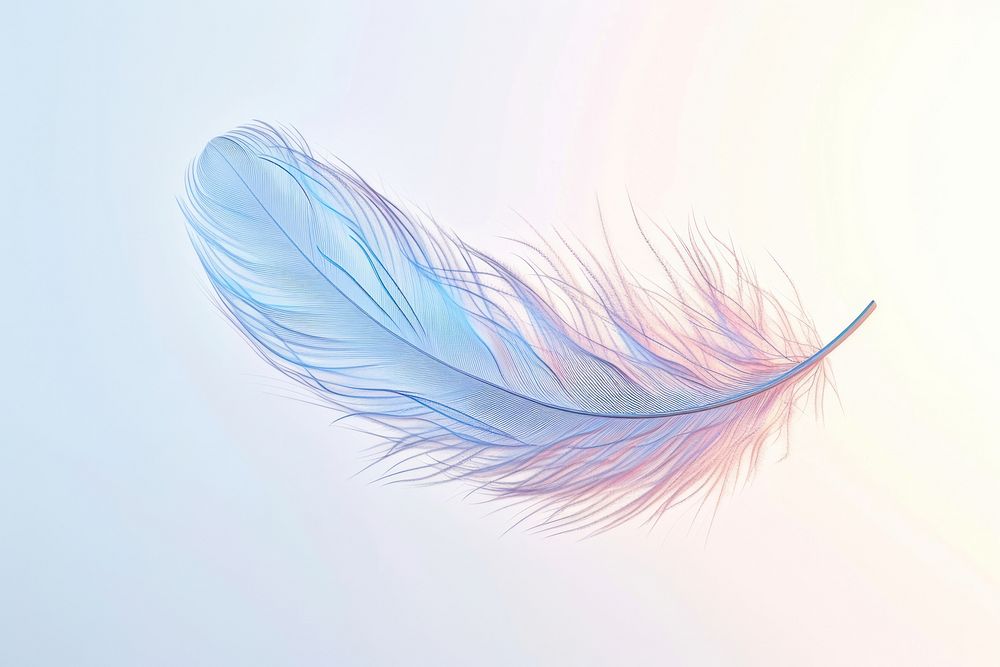 3d render of feather accessories accessory graphics.