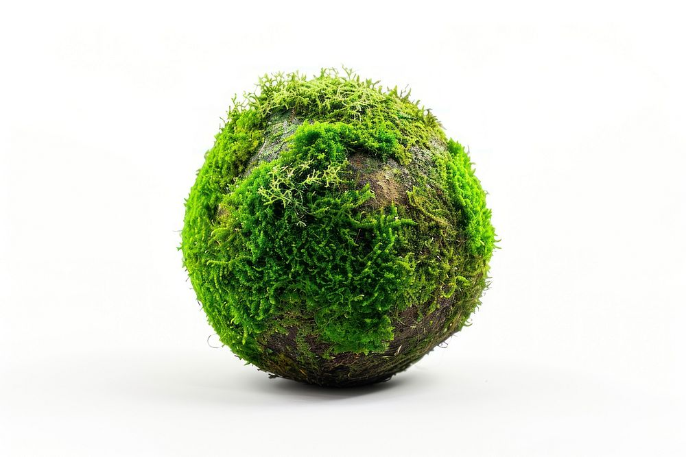 Green mossy earth sphere plant tree.