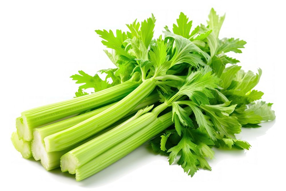 Fresh celery parsley plant herbs.