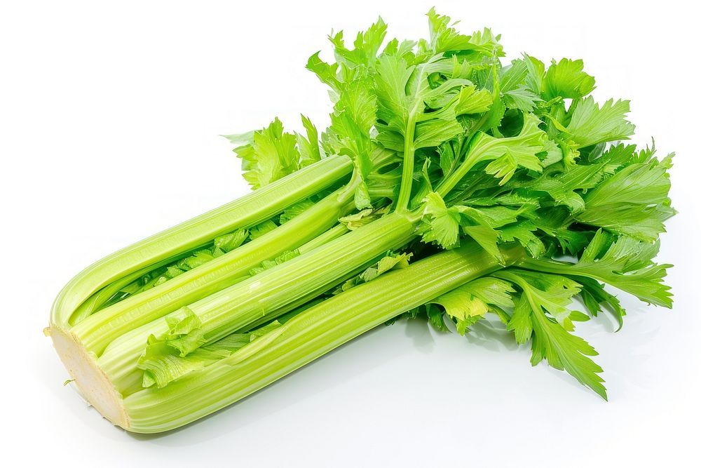 Fresh celery plant herbs food.