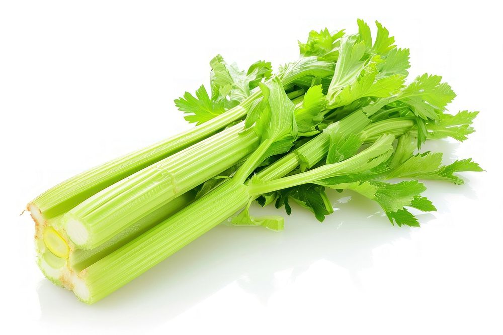Fresh celery stick vegetable parsley plant.