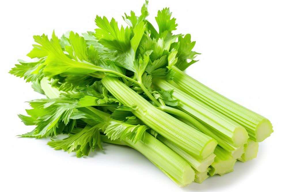 Fresh celery stick vegetable parsley plant.
