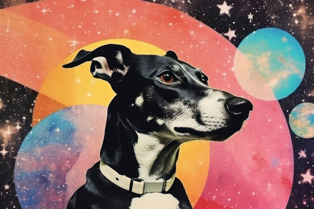 Collage Retro dreamy Greyhound greyhound astronomy animal.