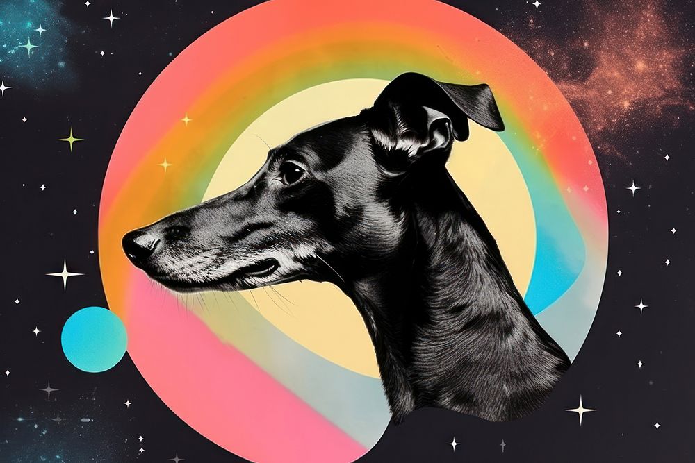 Collage Retro dreamy Greyhound greyhound astronomy mammal.