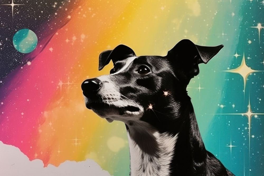 Collage Retro dreamy Greyhound mammal animal pet.