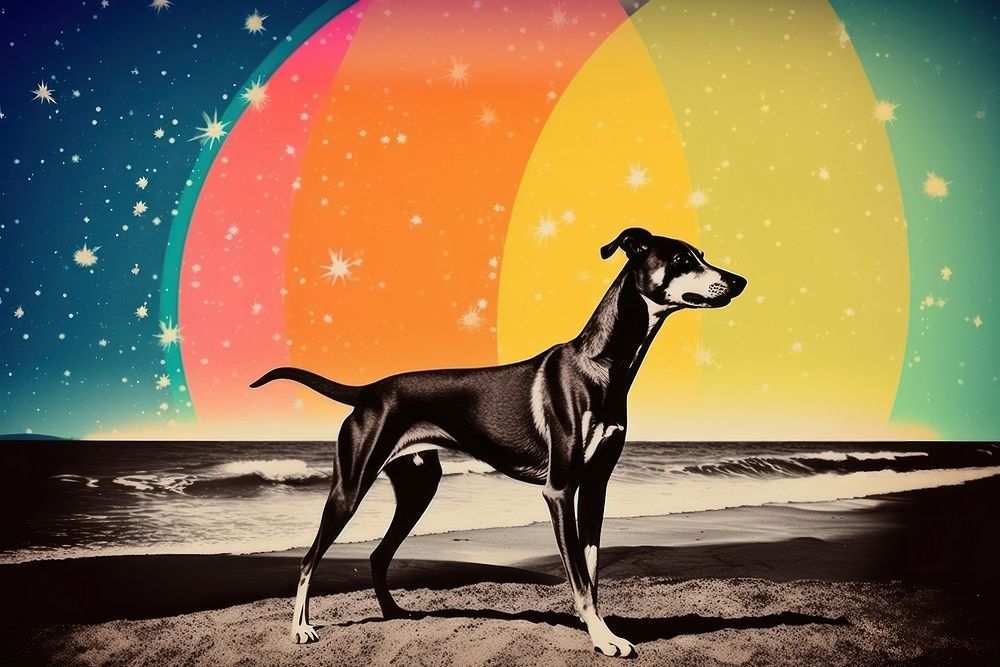 Collage Retro dreamy Greyhound greyhound mammal animal.