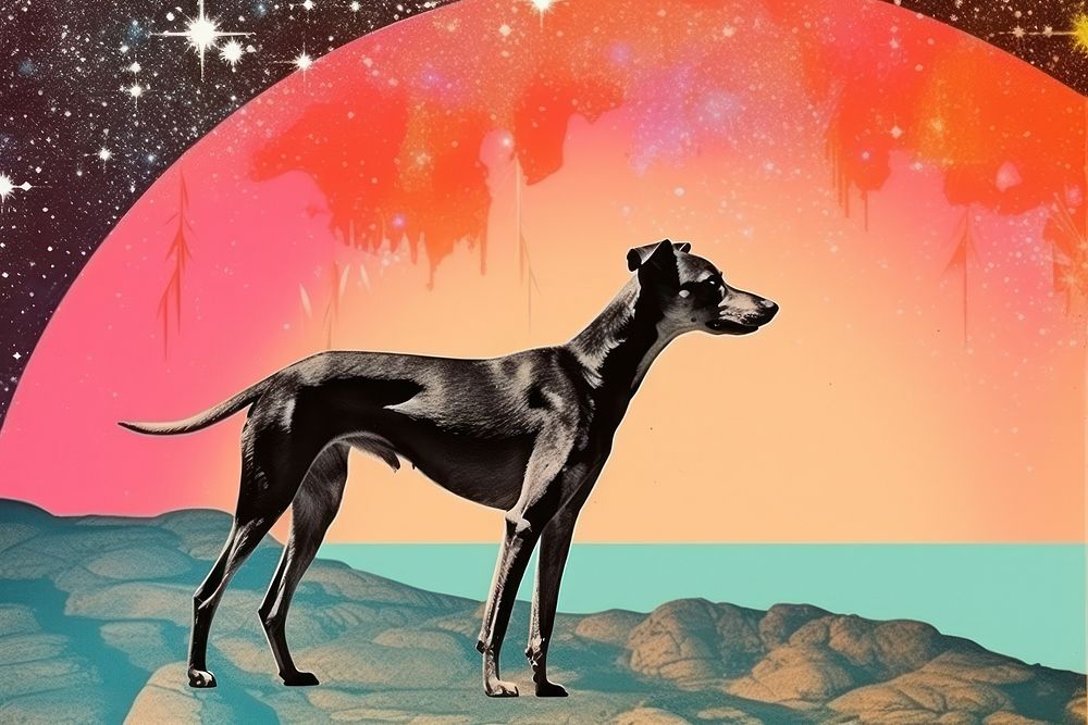 Collage Retro dreamy Greyhound greyhound mammal animal.