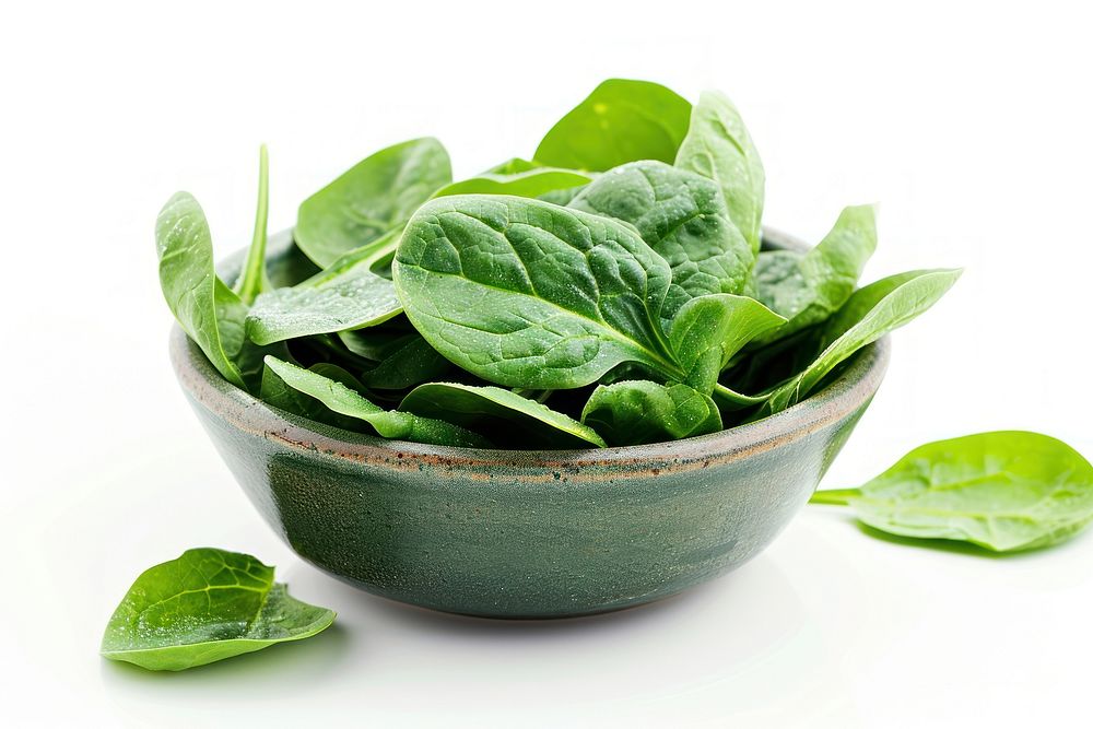Spinach leaves in a bowl vegetable plant food.