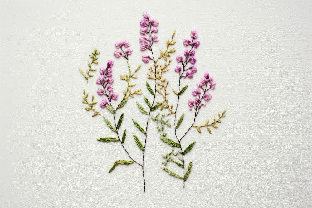 Wildflower in embroidery style blossom plant inflorescence.