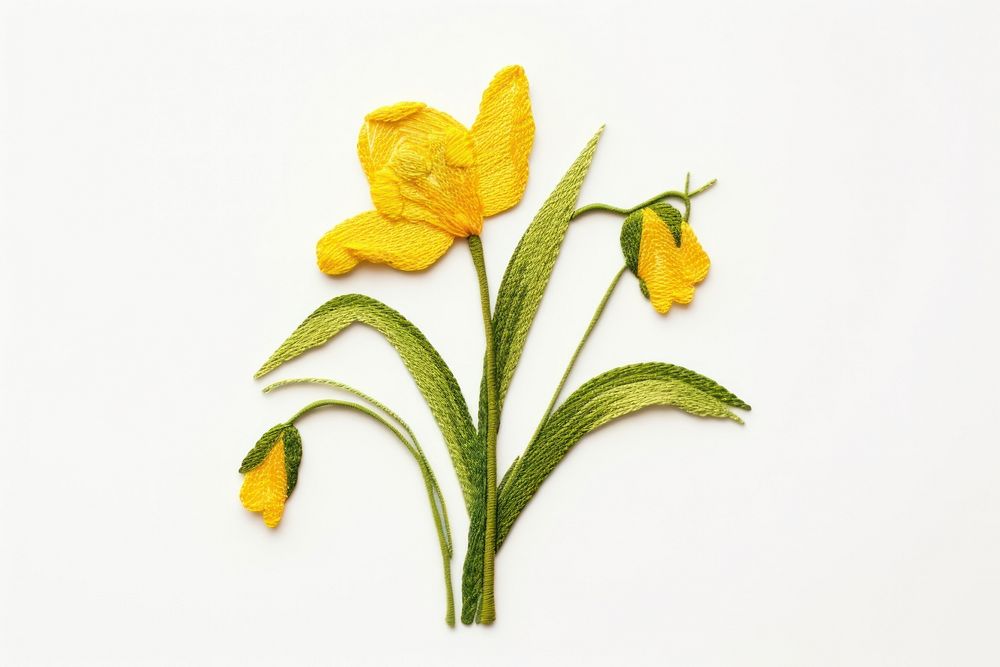 Doffodil in embroidery style sunflower daffodil petal.