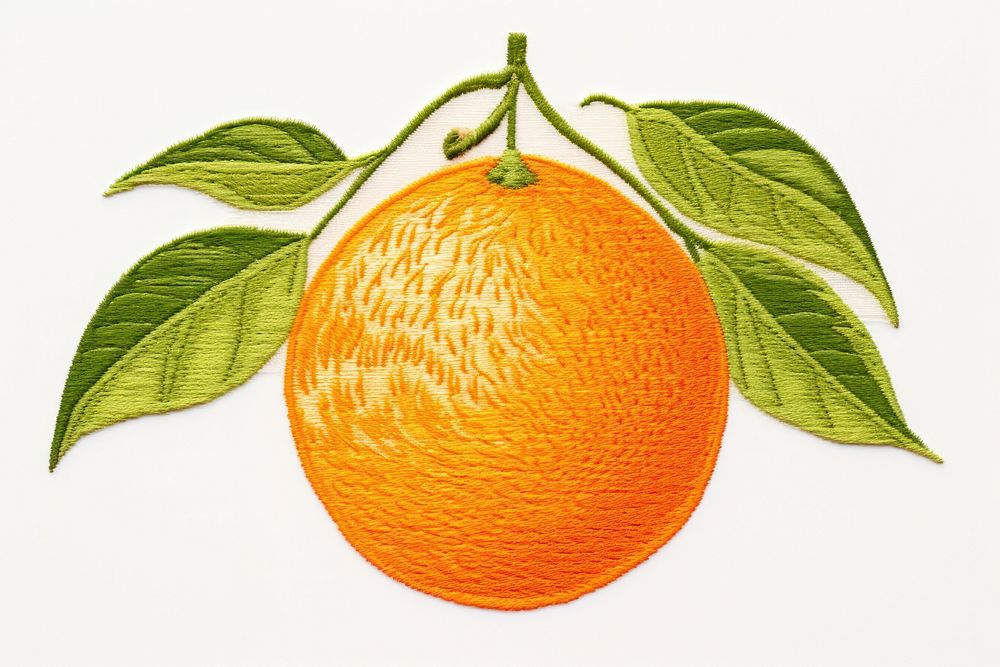 Orange fruit in embroidery style grapefruit plant food.