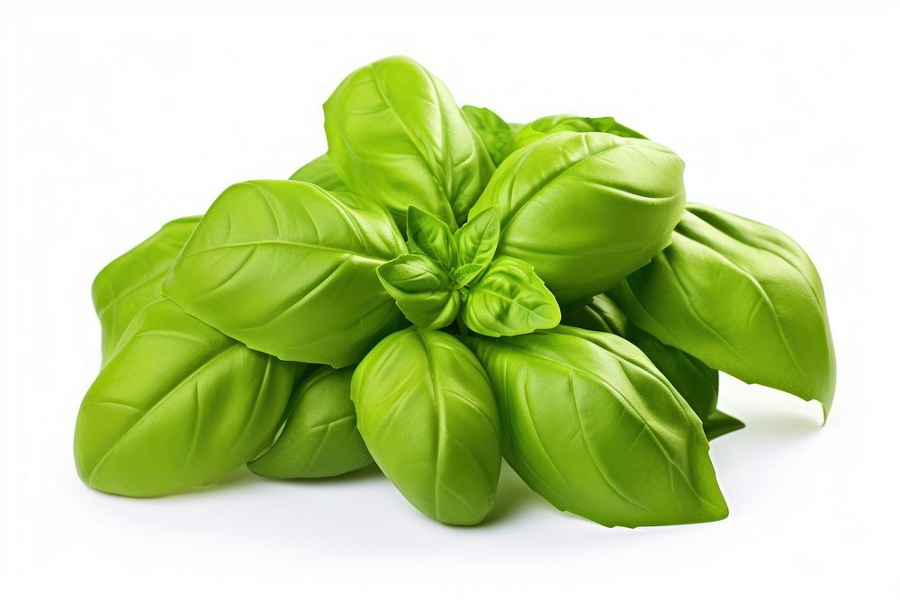 Fresh green organic basil leaves vegetable plant herbs. AI generated Image by rawpixel.