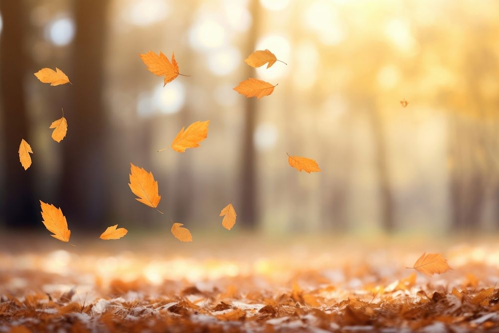 Leaves falling autumn backgrounds plant. AI generated Image by rawpixel.