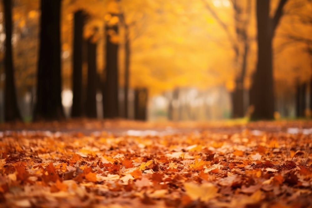 Leaves falling autumn backgrounds outdoors. AI generated Image by rawpixel.