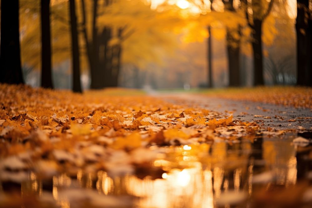 Leaves falling autumn backgrounds landscape. AI generated Image by rawpixel.