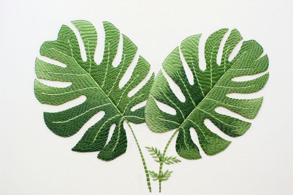 Monstera in embroidery style pattern plant leaf.