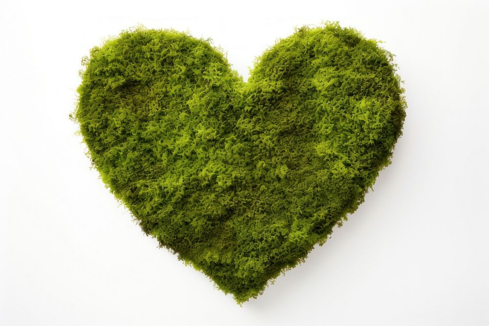 Heart shape moss plant white background. AI generated Image by rawpixel.