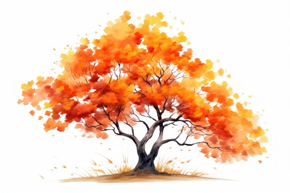 Autumn tree plant maple white background. AI generated Image by rawpixel.