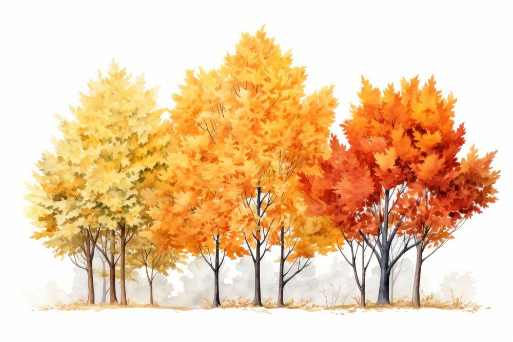 Autumn trees outdoors nature forest. AI generated Image by rawpixel.