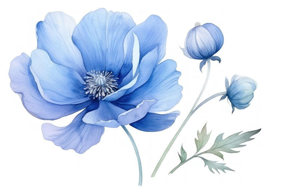 Blue flower blossom petal plant. AI generated Image by rawpixel.