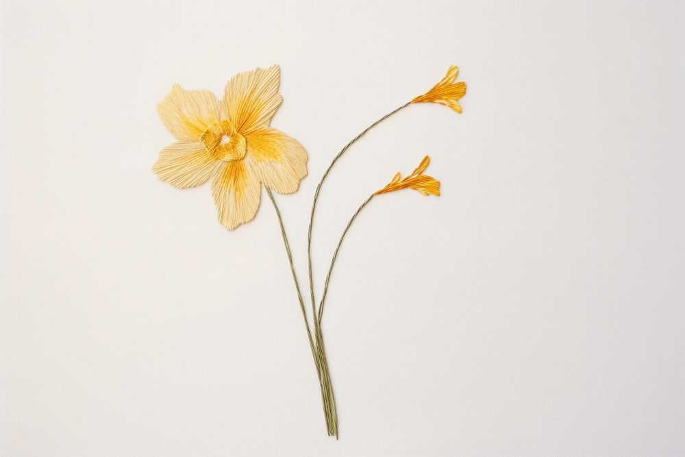Embroidery of daffodil flower petal plant.