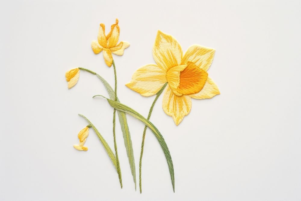 Embroidery of daffodil flower petal plant.