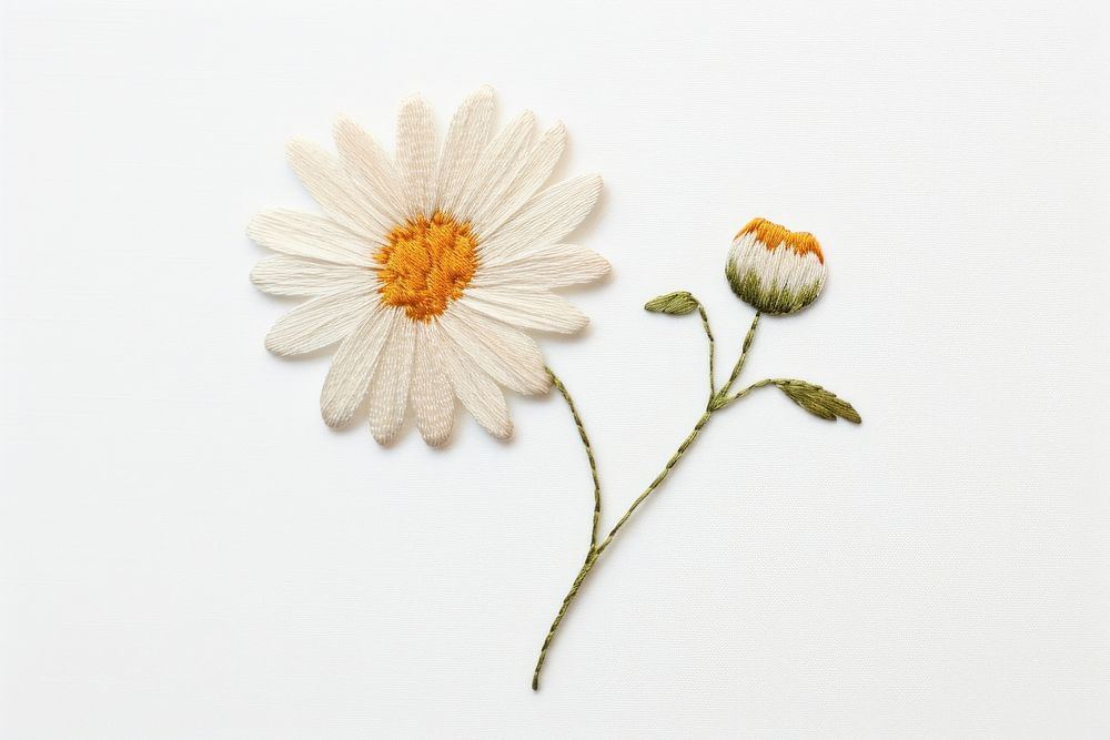 Embroidery of daisy flower petal plant.