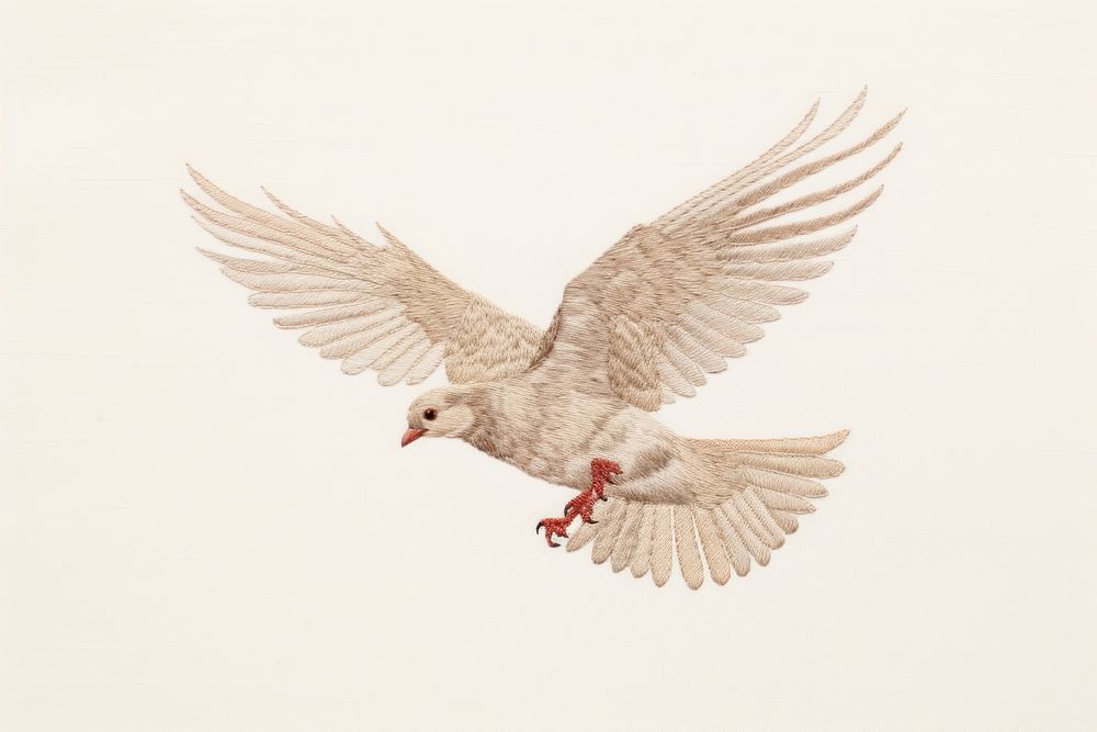 Embroidery of dove animal flying white.