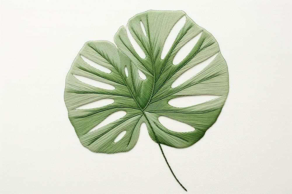 Embroidery of monstera plant leaf accessories.