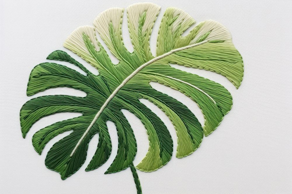 Embroidery of monstera pattern plant leaf.