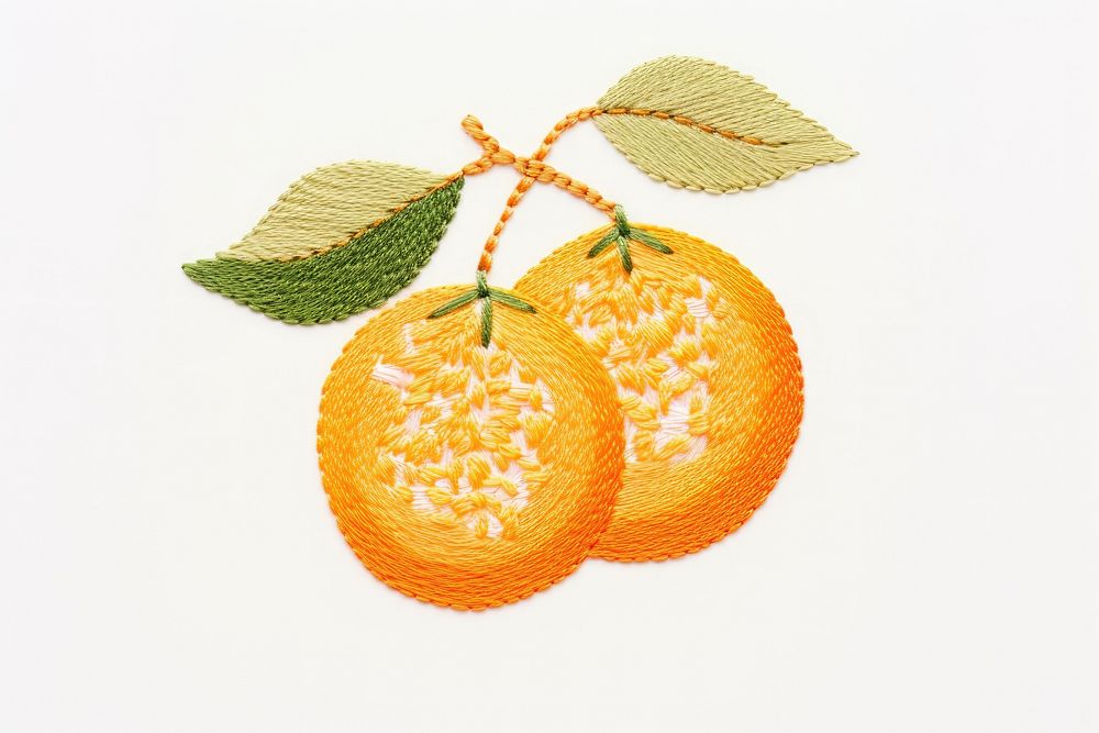 Embroidery of orange fruit grapefruit plant food.