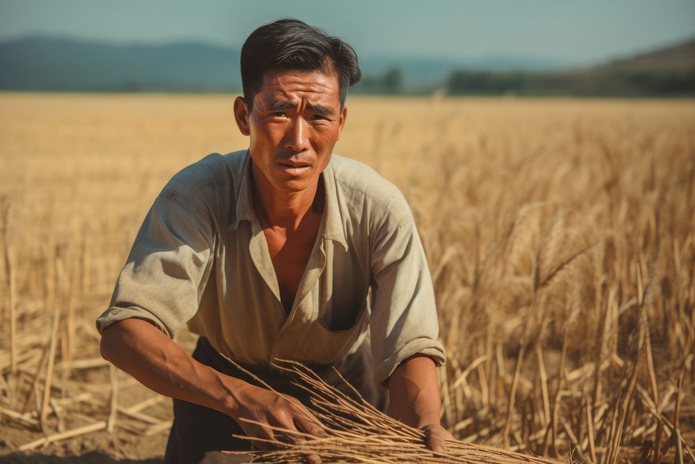 Korean man outdoors working harvest.