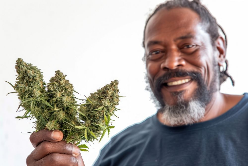 Black man holding cannabis buds adult happiness narcotic.