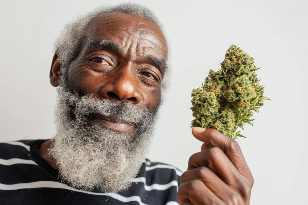 Black man holding cannabis buds adult narcotic portrait.