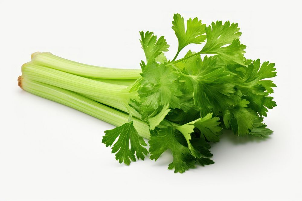 Celery cut parsley plant herbs.