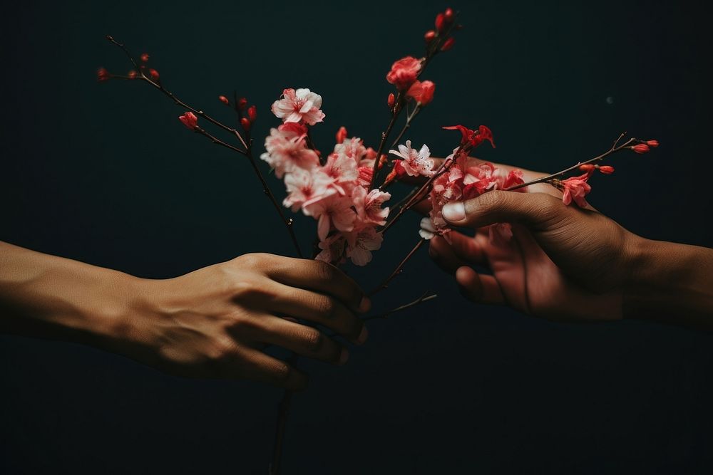 Hand holding flowers plant petal togetherness. AI generated Image by rawpixel.