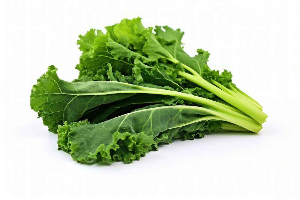Kale salad vegetable plant food.