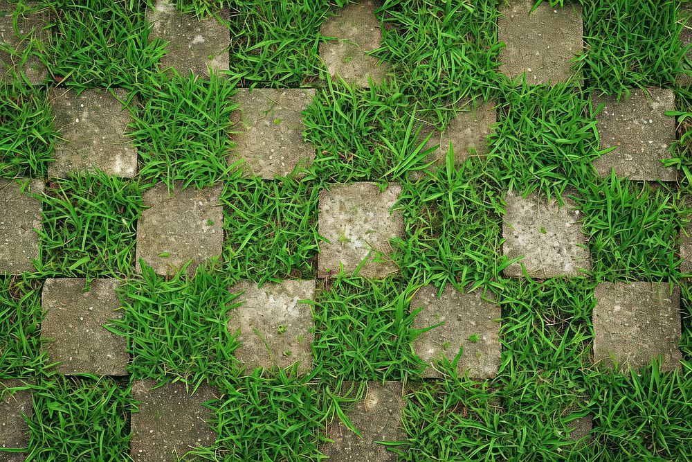 Lawn strip chess grass cobblestone backgrounds.