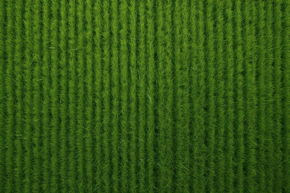Lawn strip line grass backgrounds outdoors.