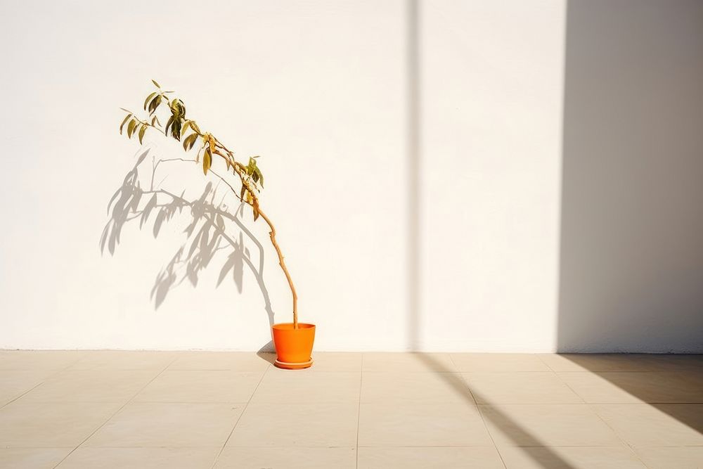 Orange shadow plant white. AI generated Image by rawpixel.