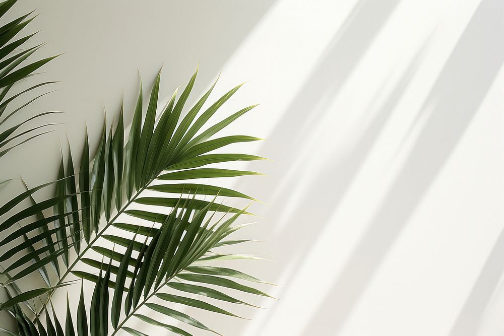Tropical leaves backgrounds nature shadow. AI generated Image by rawpixel.