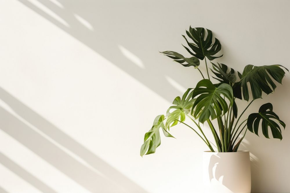 Tropical leaves plant leaf wall. AI generated Image by rawpixel.