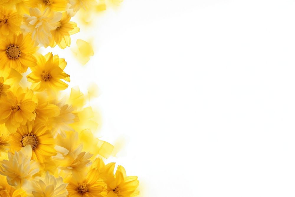 Background of Yellow flower border backgrounds nature yellow.