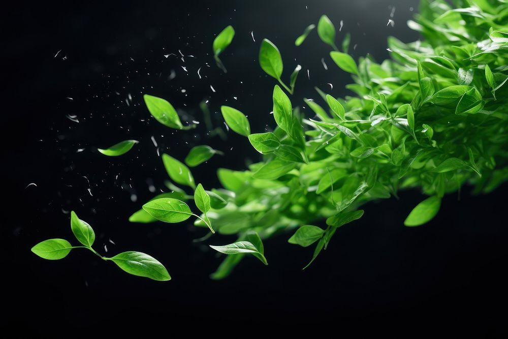 Tea Green Floating Leaves Flying Leaves Green Leaf Dancing green leaf plant. AI generated Image by rawpixel.