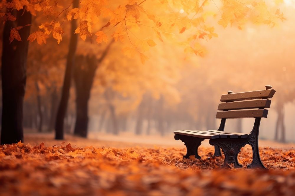 Background in autumn furniture outdoors nature. AI generated Image by rawpixel.