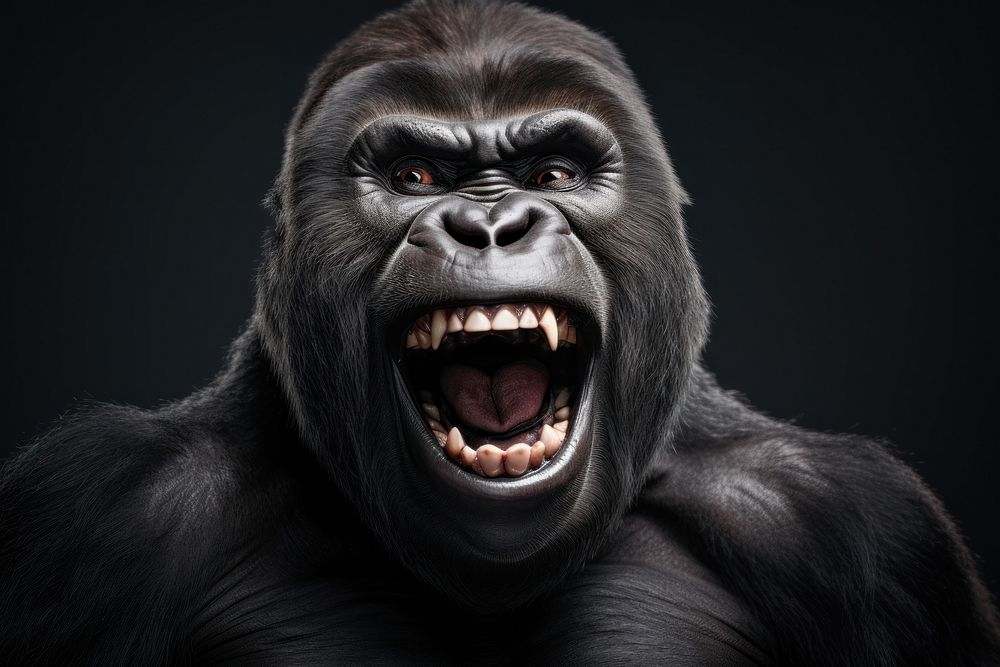 Real funny gorilla wildlife mammal monkey. AI generated Image by rawpixel.