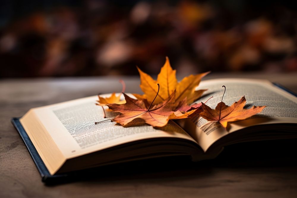 Some book on the floor with maple leaves publication plant leaf. AI generated Image by rawpixel.