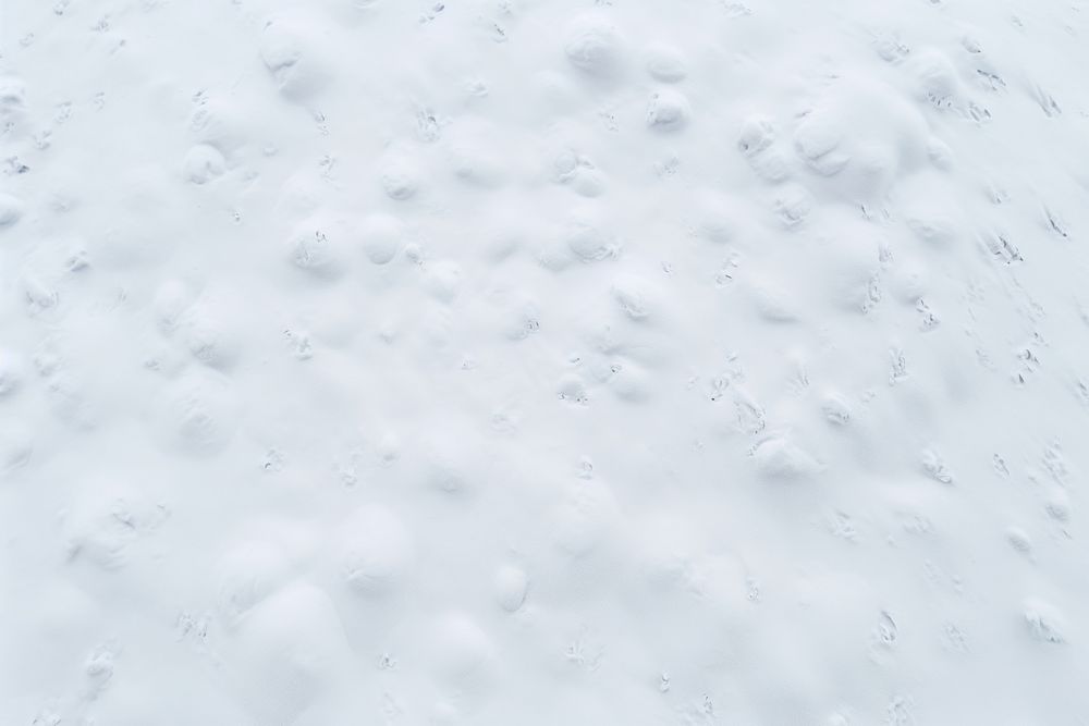 Snow field white backgrounds blizzard.